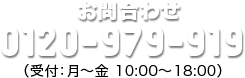 お問合わせ：0120-979-919、受付：月～金（10:00～18:00）